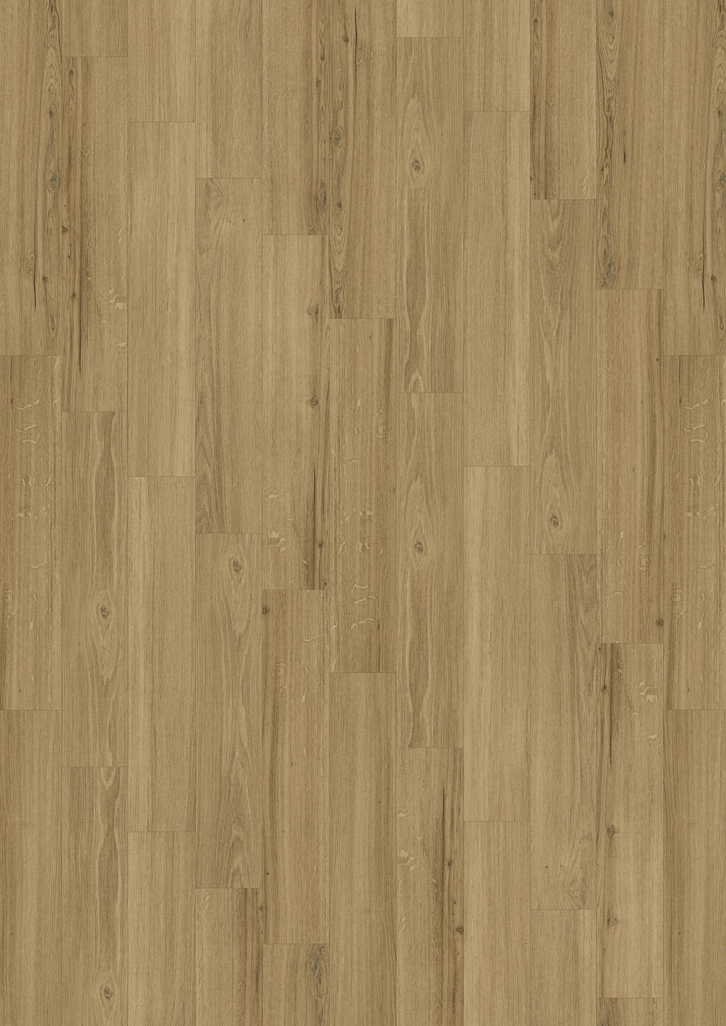 Incredible Classic Oak